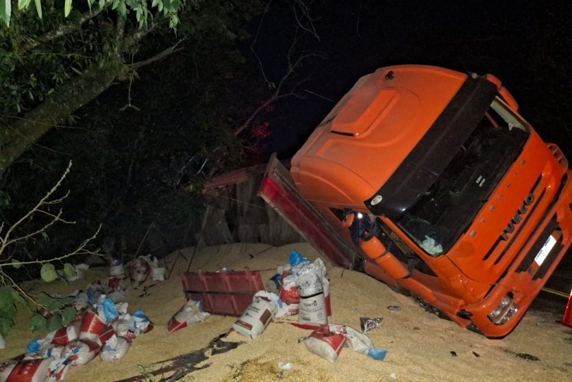Caminhão com carga de milho tombada.