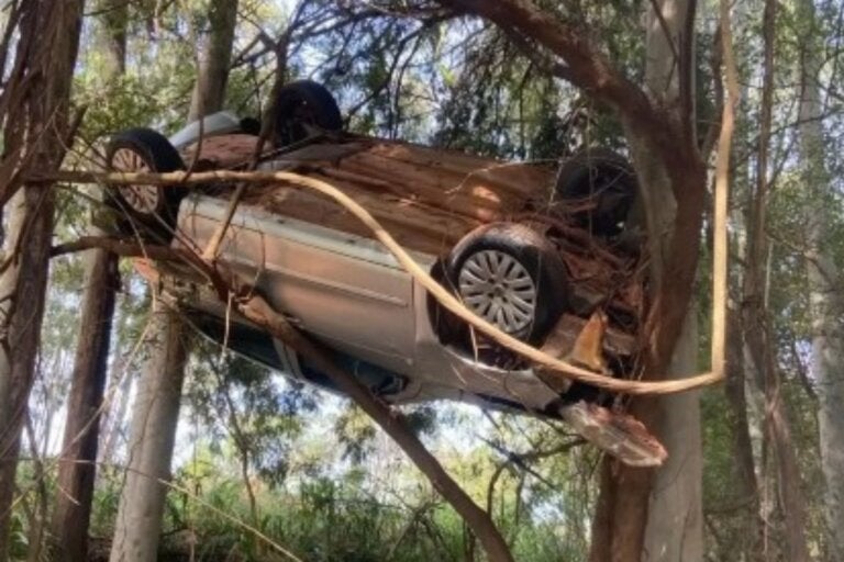 Carro fica pendurado em árvore após sair da pista na PR-542, no Norte do Paraná