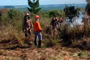 Trabalhadores da Defesa Civil em campo.