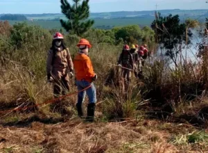 Trabalhadores da Defesa Civil em campo.