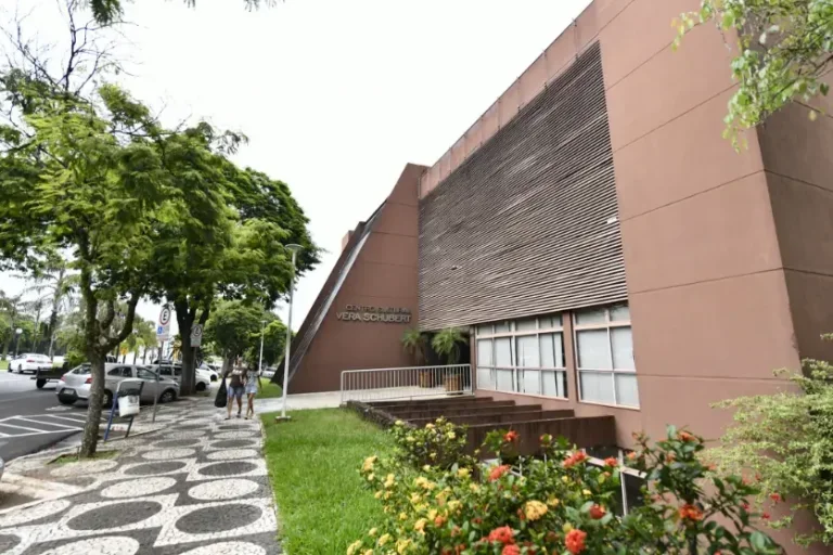 Agosto Lilás marca 20 anos da Lei Maria da Penha com ação para estudantes