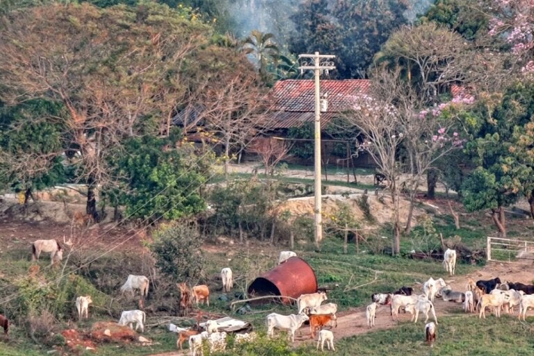 Veja imagens do sítio onde os Buscariollo estavam escondidos, no interior paulista