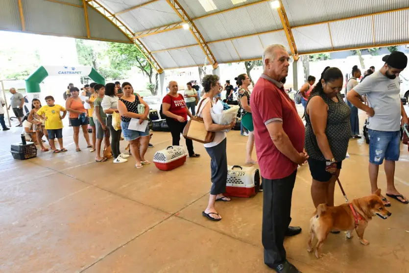 CastraPet abre inscrições para 245 castrações gratuitas de cães e gatos em Umuarama