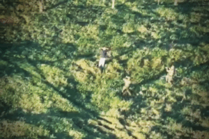 Momento em que homem é preso após cerco policial montado em Iporã.