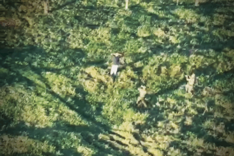 Momento em que homem é preso após cerco policial montado em Iporã.
