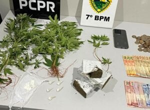 PCPR e PM prendem homem por tráfico de drogas durante operação em Cidade Gaúcha
