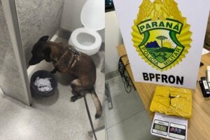 Cão Nero e a droga que ele encontrou na Rodoviária de Umuarama.
