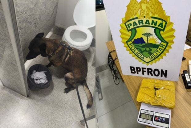 Cão Nero e a droga que ele encontrou na Rodoviária de Umuarama.