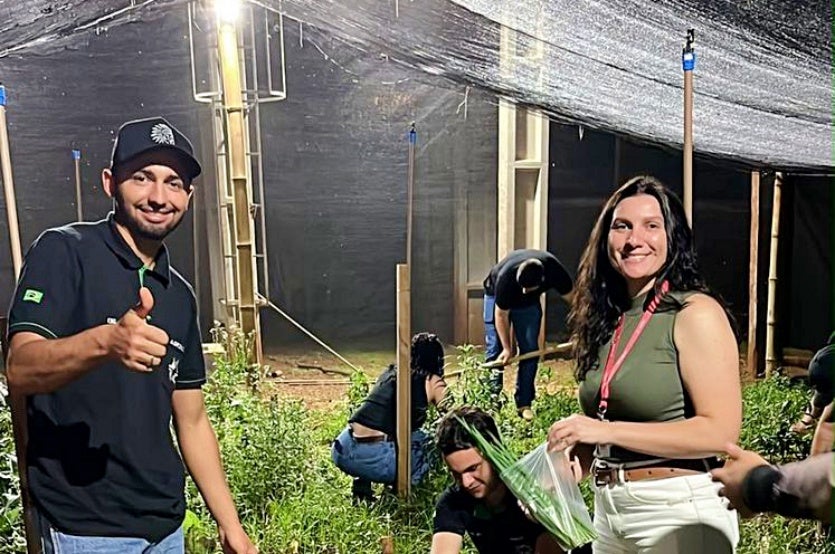 Horta da Unipar transforma aprendizado de alunos de Agronomia em doações a hospital
