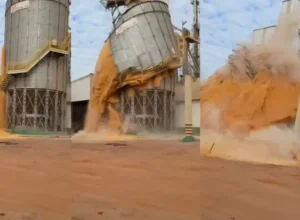 Imagens do silo de milho desabando no Paraná.