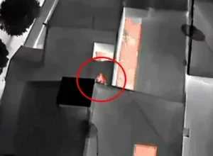 Imagens de drone mostram ‘Dog Dog’ tentando fugir da PCPR pelo telhado de residência
