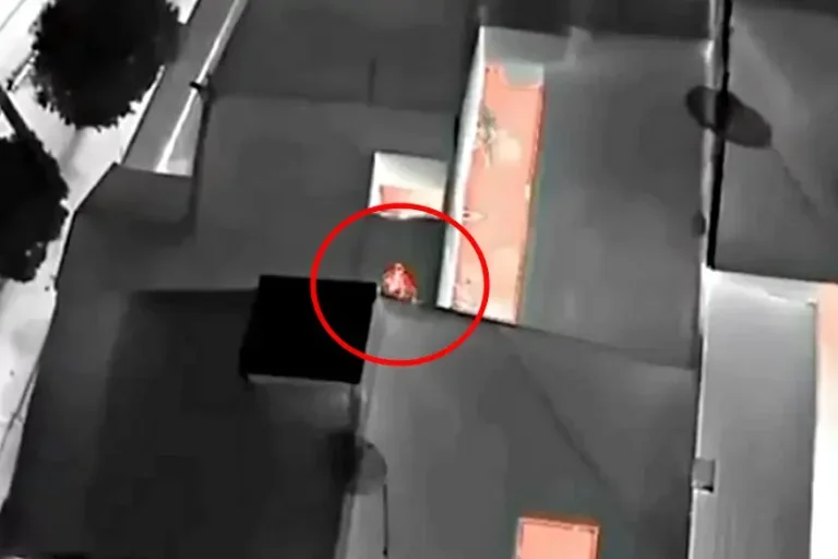 Imagens de drone mostram ‘Dog Dog’ tentando fugir da PCPR pelo telhado de residência