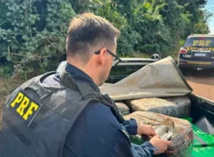 PRF apreende mais de meia tonelada de drogas em caminhonete clonada na PR-323