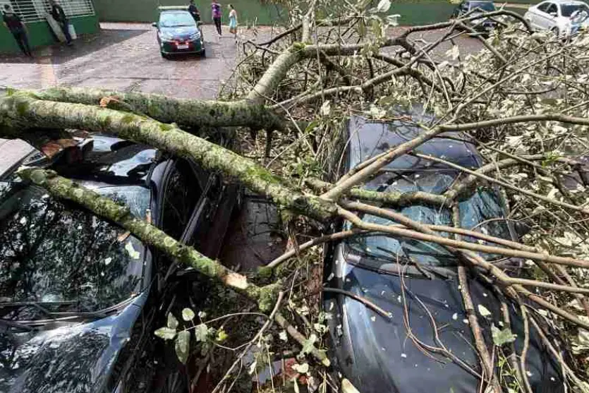 Temporal derruba árvores, atinge carros e deixa Cascavel sem energia neste domingo