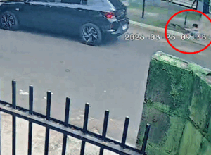 Umuarama: Vídeo mostra condutor atropelando menino, dois cães e fugindo sem prestar socorro