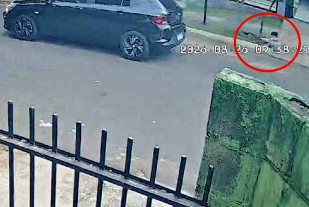 Umuarama: Vídeo mostra condutor atropelando menino, dois cães e fugindo sem prestar socorro