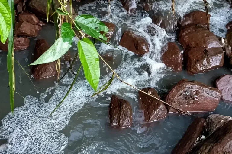 Vídeo denuncia novo despejo de esgoto na Cachoeira do Ventão, em Umuarama