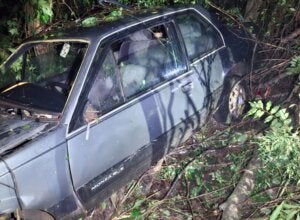 Carro após bater contra árvores às margens da PR-364.