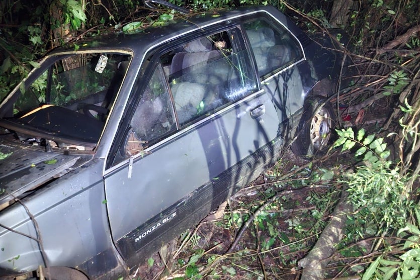 Carro após bater contra árvores às margens da PR-364.