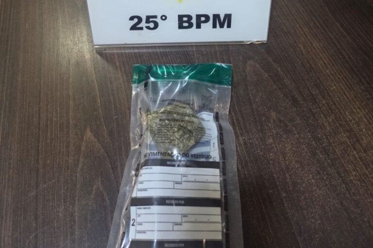 Droga apreendida durante situação de violência doméstica em Umuarama.