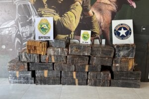 Maconha apreendida em Umuarama