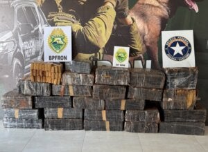 Maconha apreendida em Umuarama