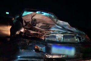 Carro após atropelar boi na PR-581 em Assis Chateaubriand.