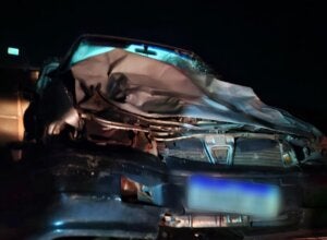 Carro após atropelar boi na PR-581 em Assis Chateaubriand.