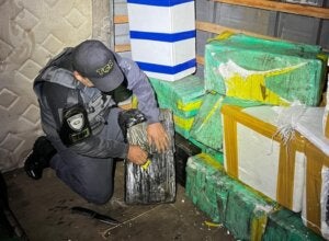 Policial apreendendo droga em SP após colaboração com BPFron de Umuarama.