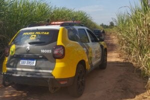 Viatura da PM em canavial onde mulher foi sequestrada em Indianópolis.
