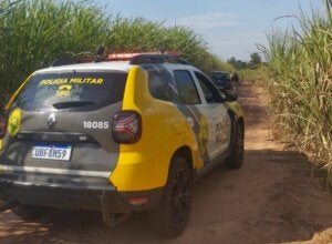 Viatura da PM em canavial onde mulher foi sequestrada em Indianópolis.