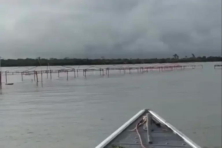 Rio Paraná sobe e água quase encobre barracas das prainhas de Porto Camargo; confira o vídeo