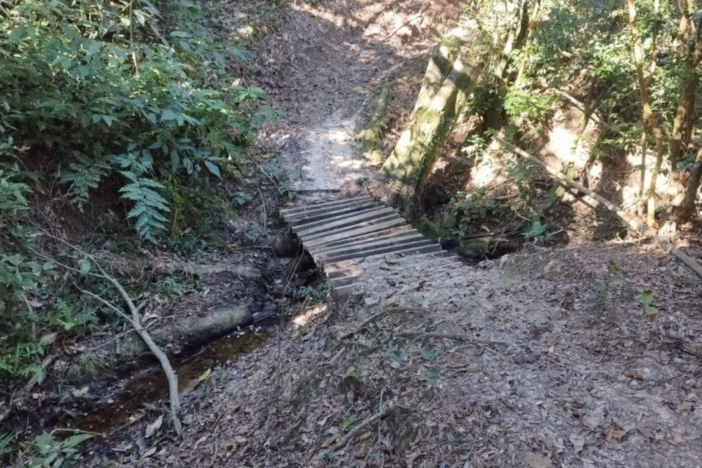 Trilha de motos em área de Mata Atlântica é embargada pela Polícia Ambiental em Altônia