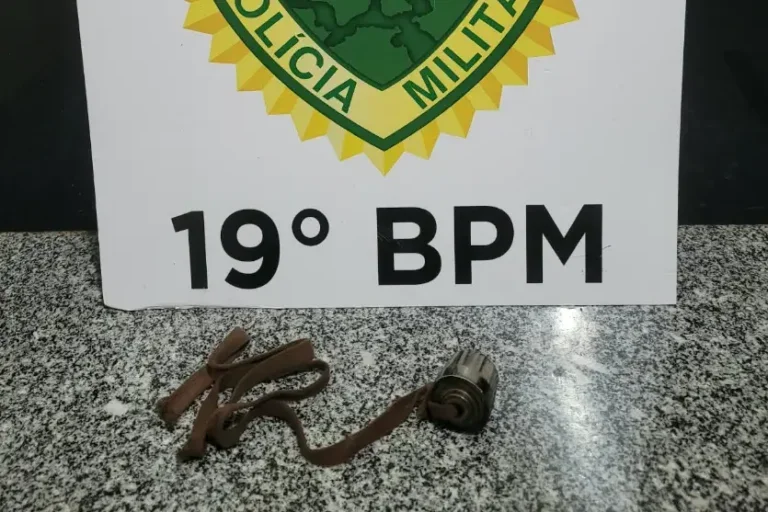 Agressão com chicote de ferro deixa menina de 9 anos gravemente ferida no Paraná