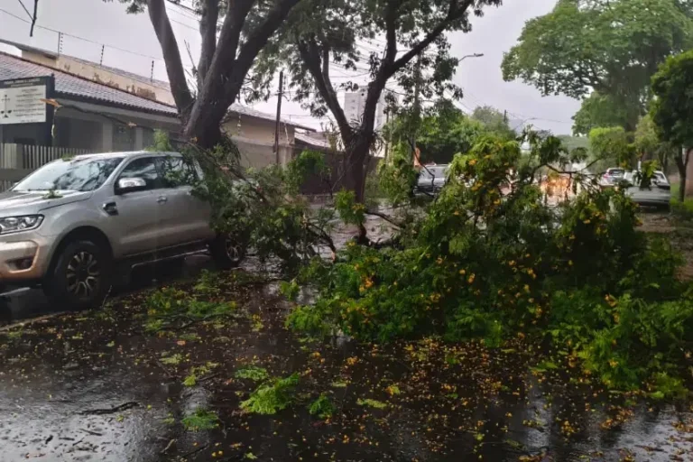 Após temporal, Umuarama segue em alerta laranja para tempestades; confira a previsão