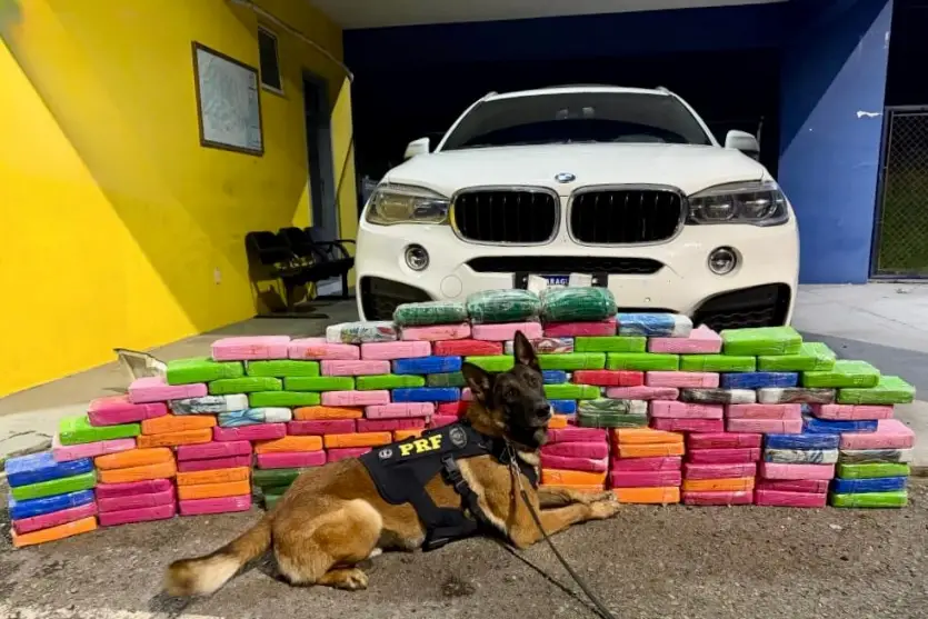BMW X6 é apreendida com 136 kg de cocaína escondidos no assoalho na BR-277