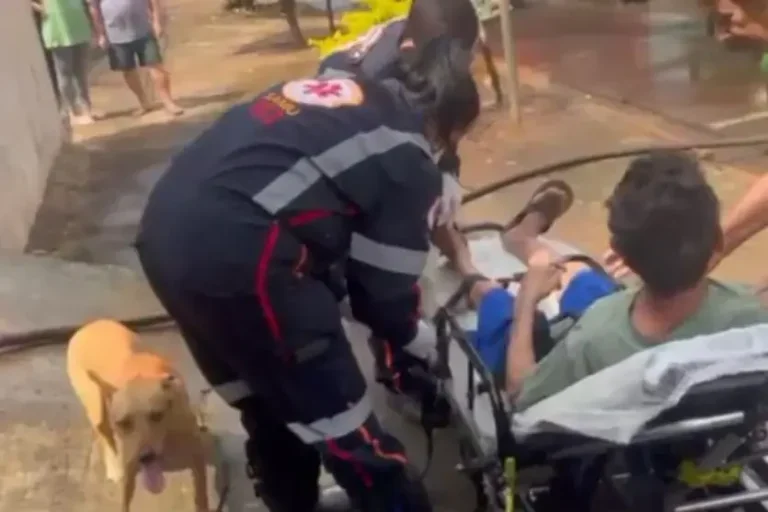 Vídeo: cachorra demonstra preocupação ao ver tutor ser resgatado após incêndio