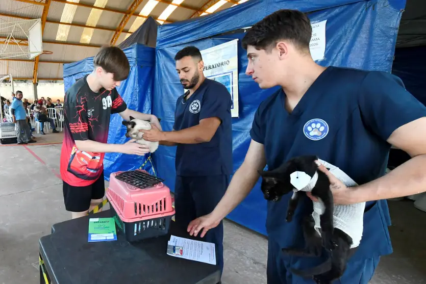 CastraPet realiza 245 castrações gratuitas de cães e gatos em Umuarama