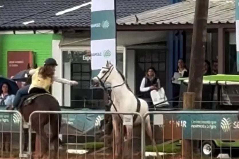 Cavalo dispara, derruba grades e é contido por menina de 12 anos na Expointer; veja vídeo
