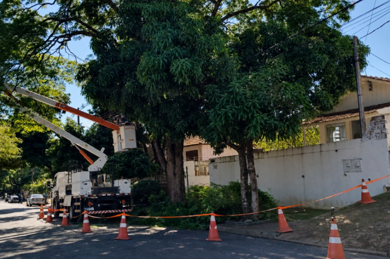 Umuarama: Copel e Prefeitura prorrogam mutirão de poda preventiva de árvores
