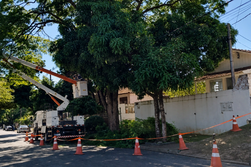 Umuarama: Copel e Prefeitura prorrogam mutirão de poda preventiva de árvores