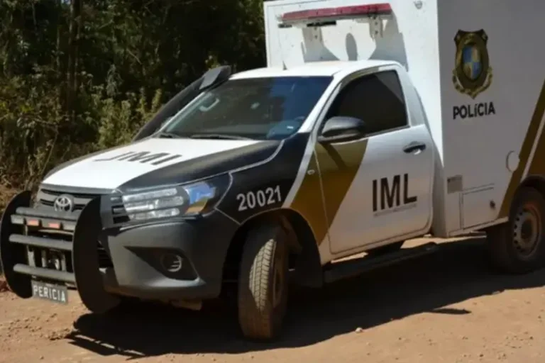 Agricultor encontra cinco crânios humanos e ossos em lavoura no Paraná