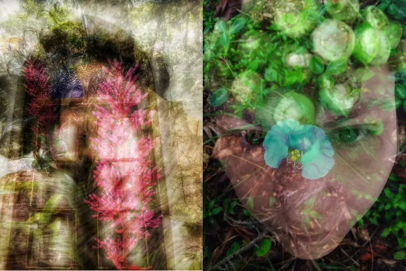 Exposição ‘Religare’ propõe novas formas de conexão com a natureza em Umuarama