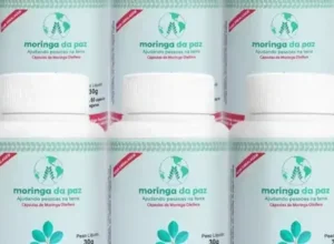Moringa da Paz.