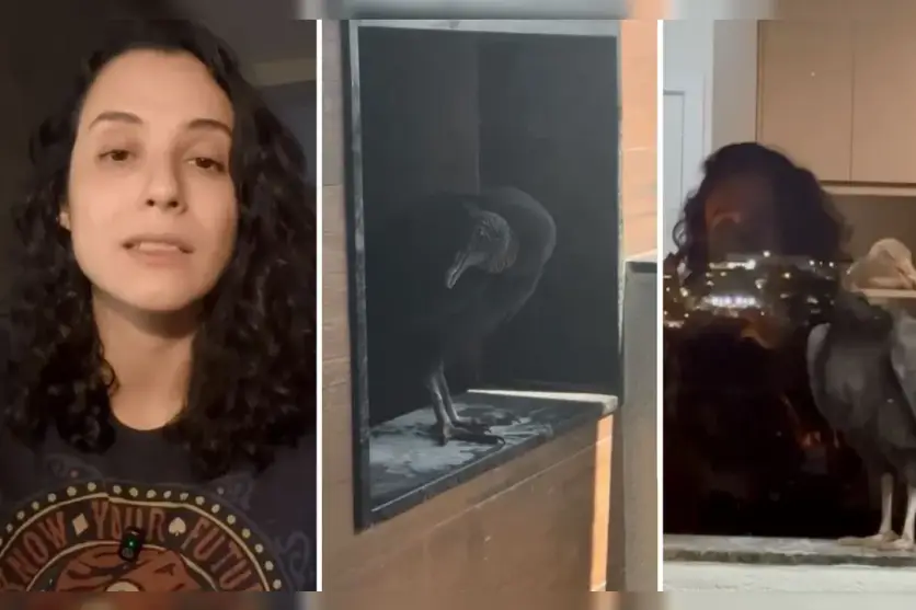 Micaela La Falce e seu urubu "inquilino".