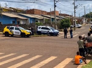 Criança morre após ataque de cão da raça pitbull pertencente à própria família; vídeo