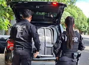 PCPR prende homem em flagrante por posse irregular de munição em Umuarama