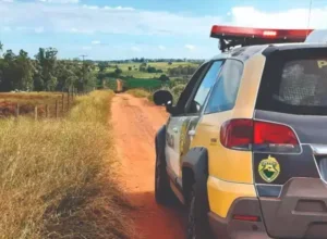 Pecuarista de Umuarama encontra bezerra abatida no pasto e aciona a PM