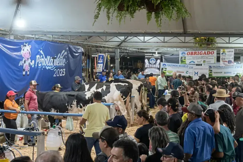 Pérola + Leite reúne produção leiteira, cultura e shows de 16 a 20 de setembro