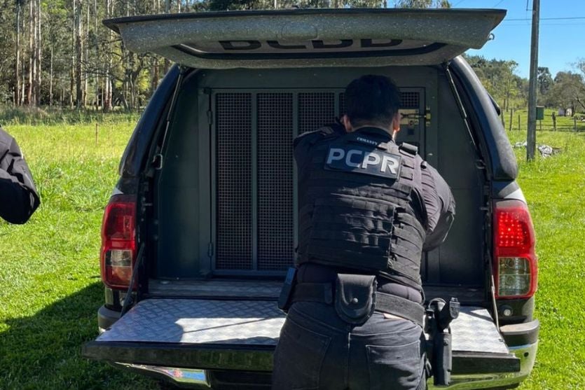 Tio é preso suspeito de estuprar sobrinha durante cinco anos no Paraná